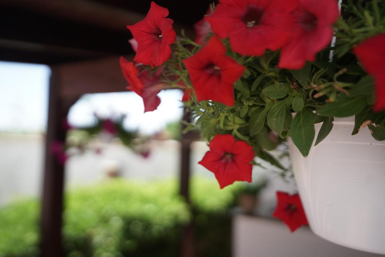 Bed and Breakfast Salento Terra Maris Cocumola Экстерьер фото